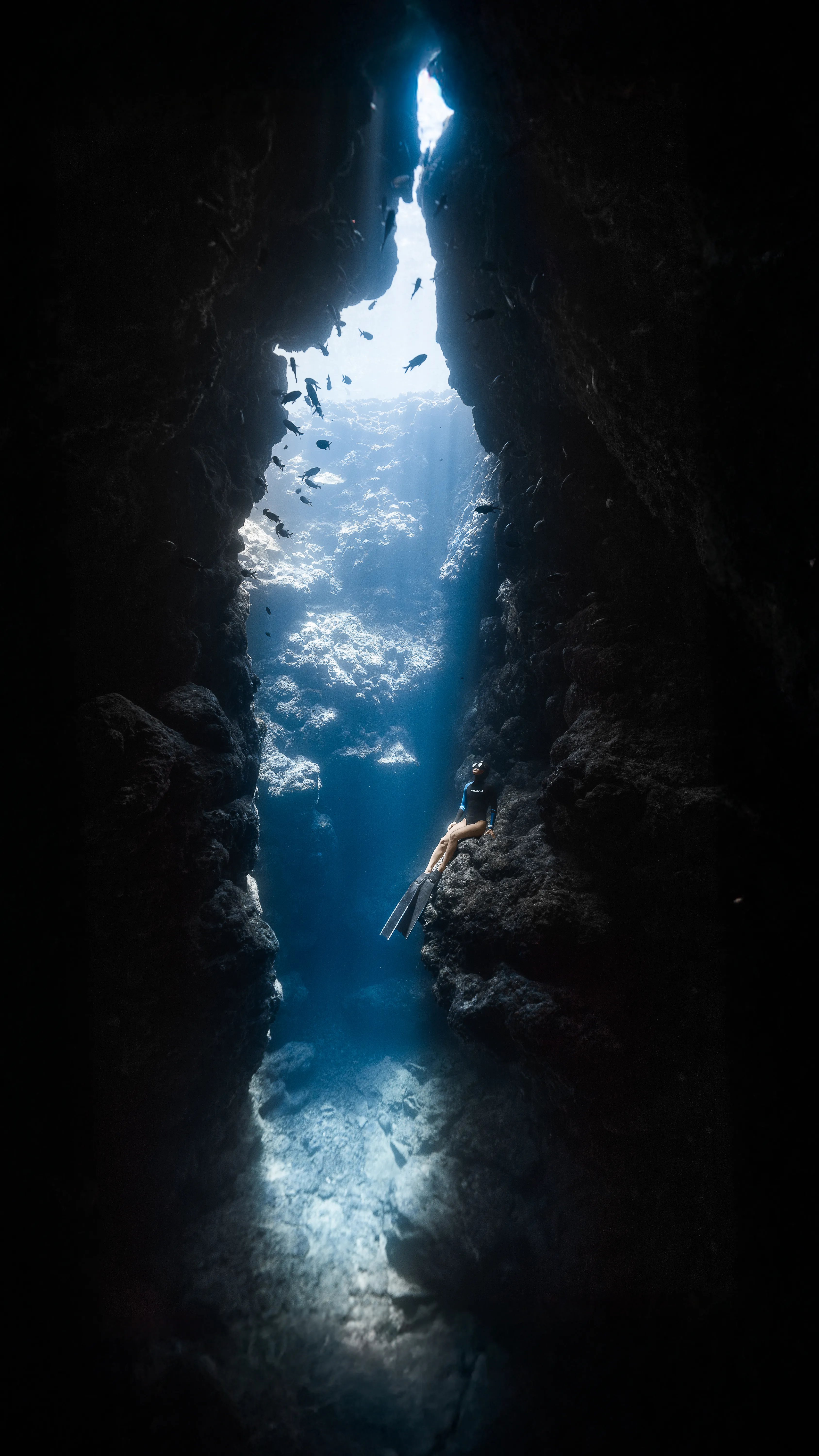 Underwater freediving on Oahu