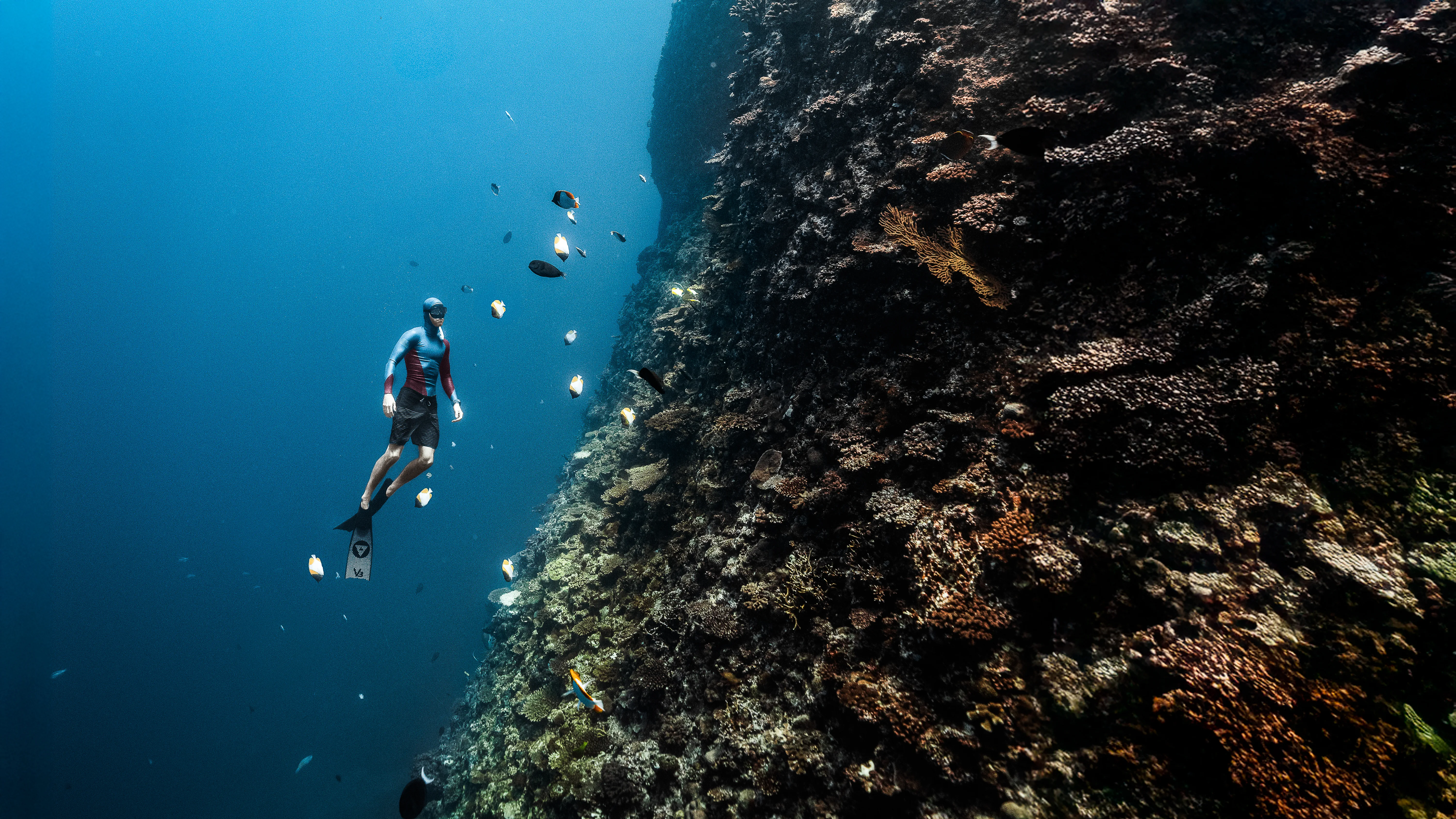 Mitch Brown underwater on Oahu