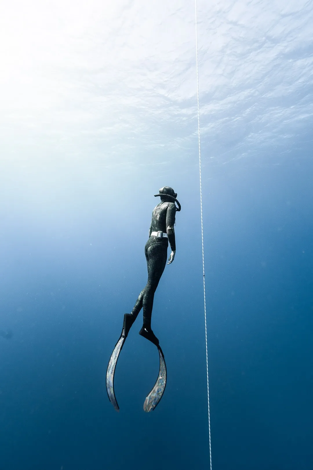 Private freediving session on the line off Oahu